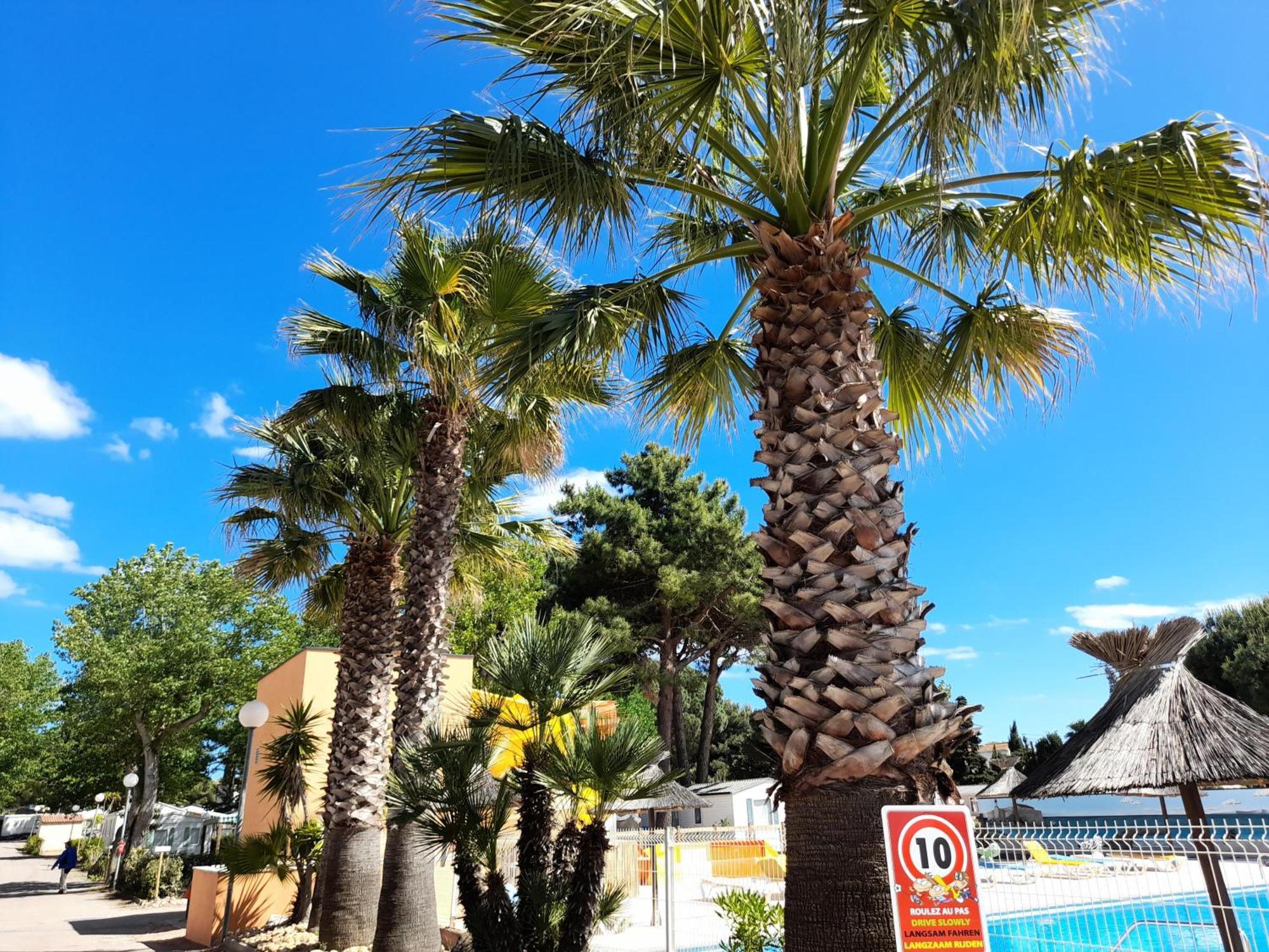 Camping Les Jardins D'Agathe - Maeva Le Grau-d'Agde Ngoại thất bức ảnh